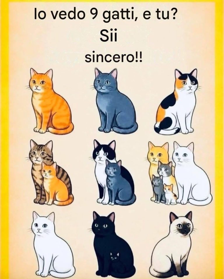 559250397_122262698438180051_529965579088667687_n-18