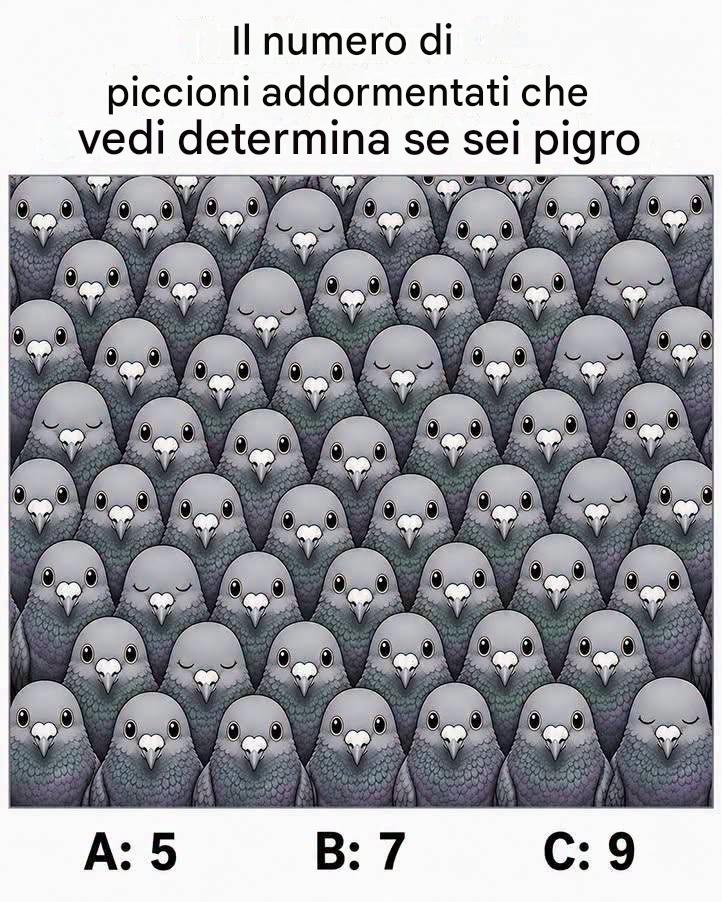559250397_122262698438180051_529965579088667687_n-18 559250397_122262698438180051_529965579088667687_n-18
