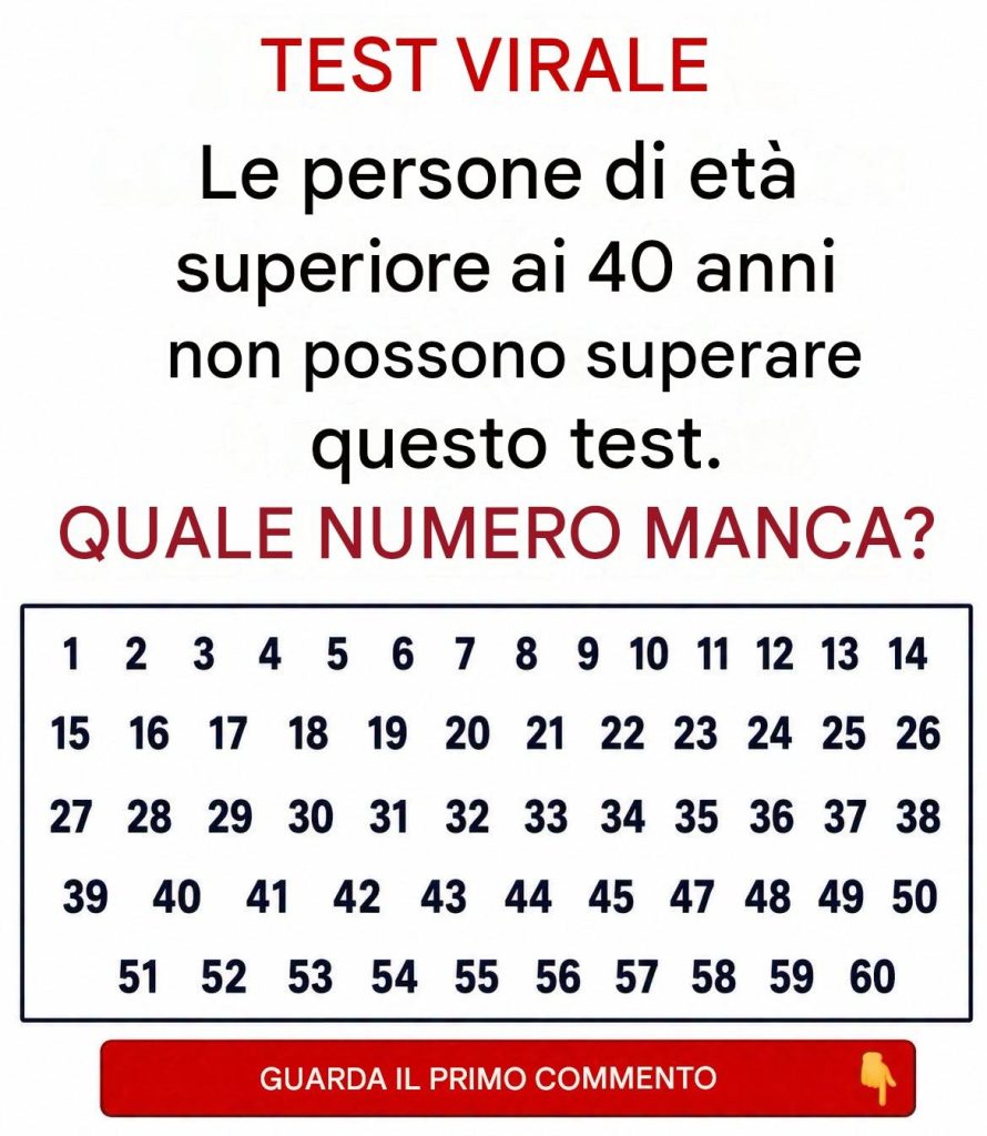 742278073_1016158621314105_7212916528817757321_n 742278073_1016158621314105_7212916528817757321_n