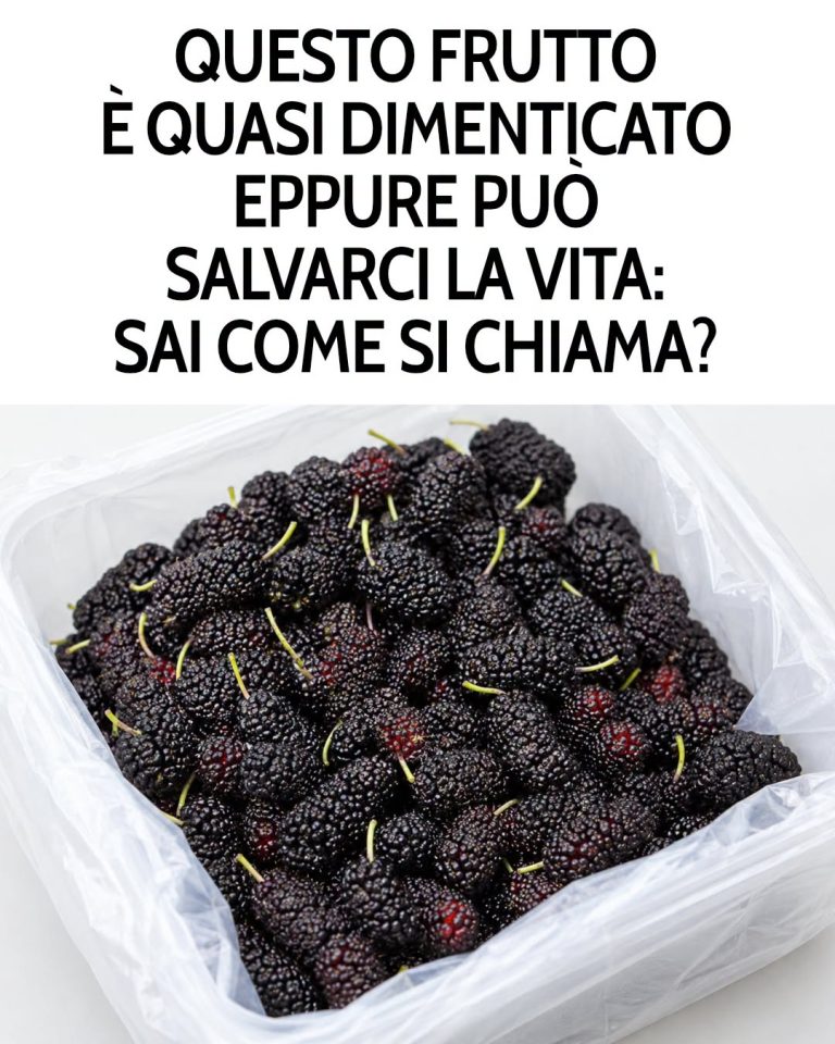 f3ec0297-6495-426c-8512-be24c1133dce-5