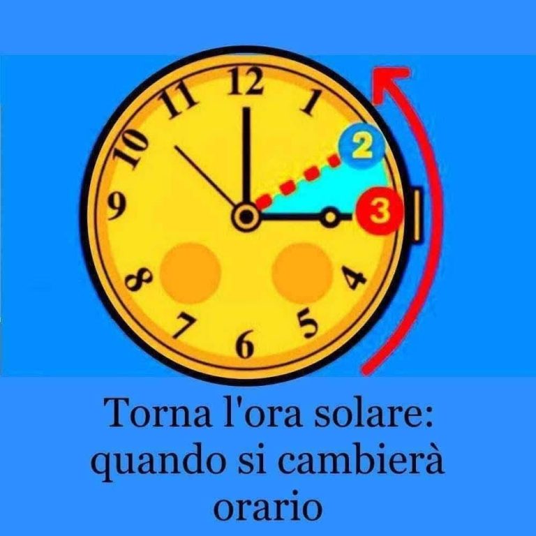 742278073_1016158621314105_7212916528817757321_n